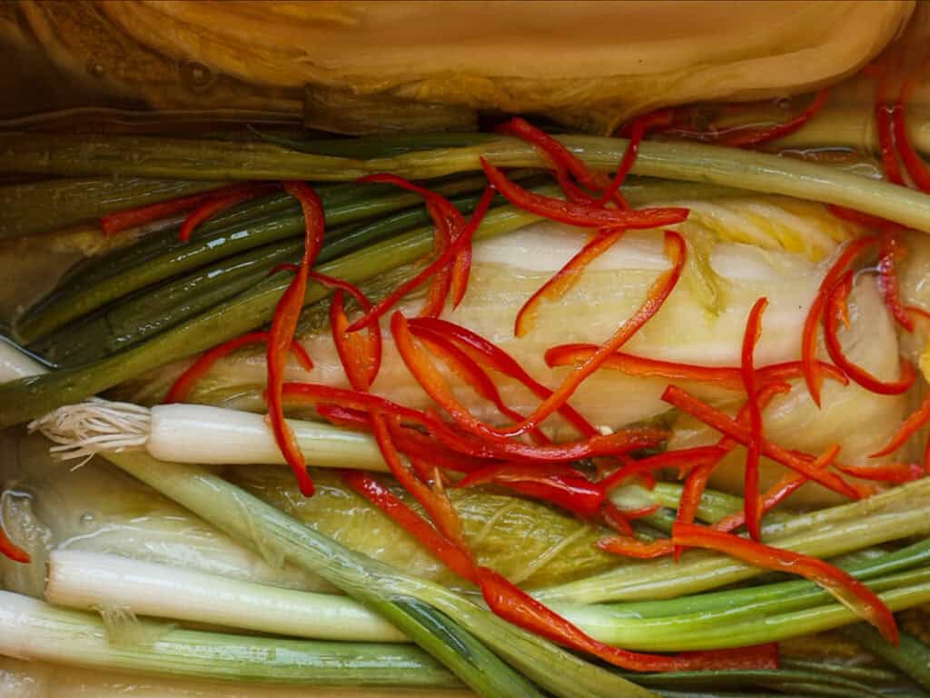 Close-up of pickled napa cabbage with sliced red chili peppers and long green onions, all submerged in brine. The vibrant colors and textures suggest ingredients used in making kimchi.